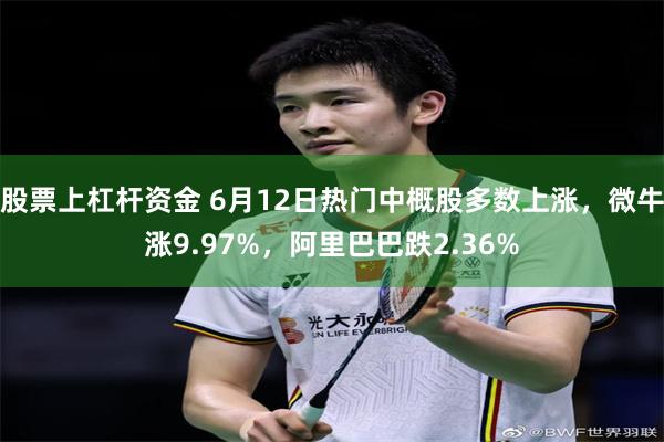 股票上杠杆资金 6月12日热门中概股多数上涨，微牛涨9.97%，阿里巴巴跌2.36%