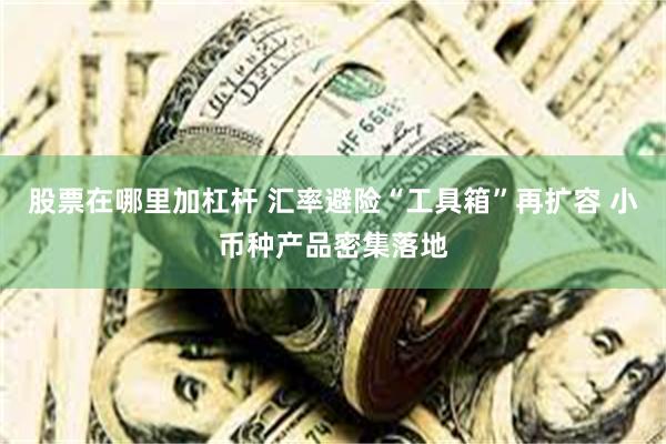股票在哪里加杠杆 汇率避险“工具箱”再扩容 小币种产品密集落地