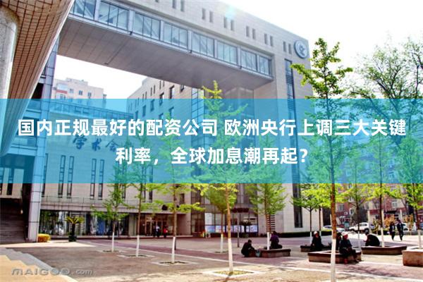 国内正规最好的配资公司 欧洲央行上调三大关键利率，全球加息潮再起？