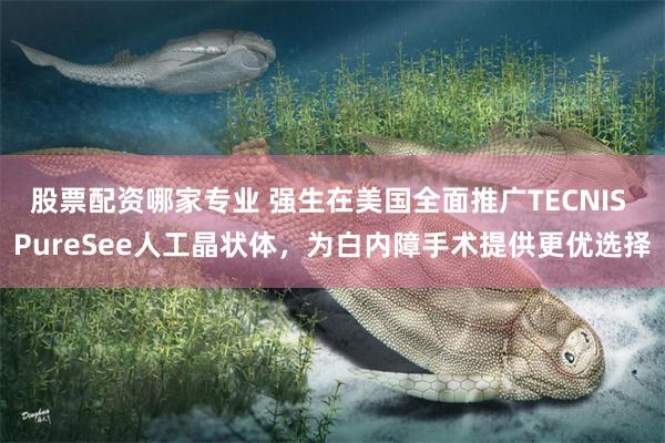 股票配资哪家专业 强生在美国全面推广TECNIS PureSee人工晶状体，为白内障手术提供更优选择