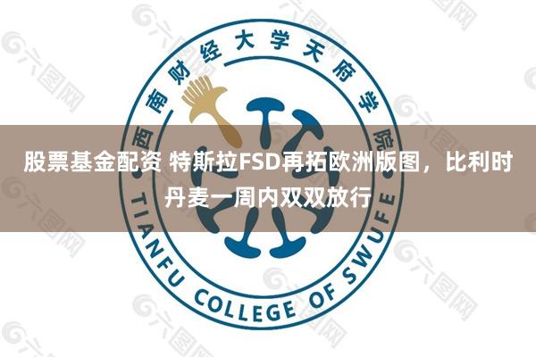 股票基金配资 特斯拉FSD再拓欧洲版图，比利时丹麦一周内双双放行