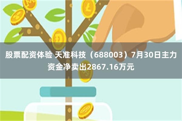 股票配资体验 天准科技（688003）7月30日主力资金净卖出2867.16万元