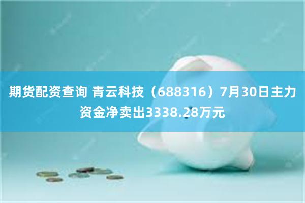 期货配资查询 青云科技（688316）7月30日主力资金净卖出3338.28万元