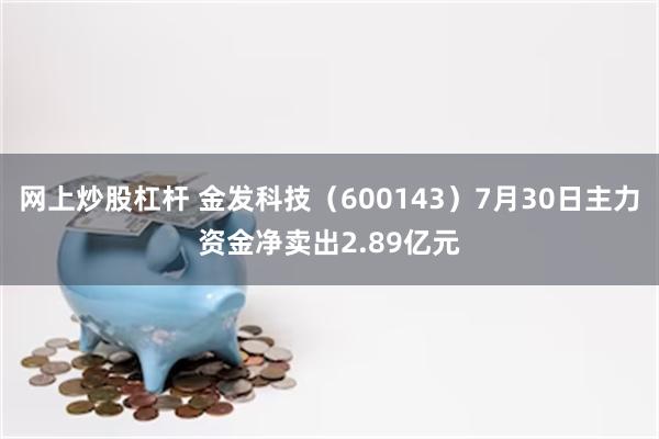 网上炒股杠杆 金发科技（600143）7月30日主力资金净卖出2.89亿元