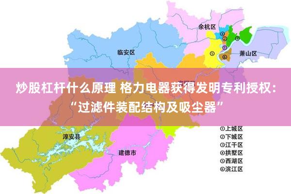 炒股杠杆什么原理 格力电器获得发明专利授权：“过滤件装配结构及吸尘器”