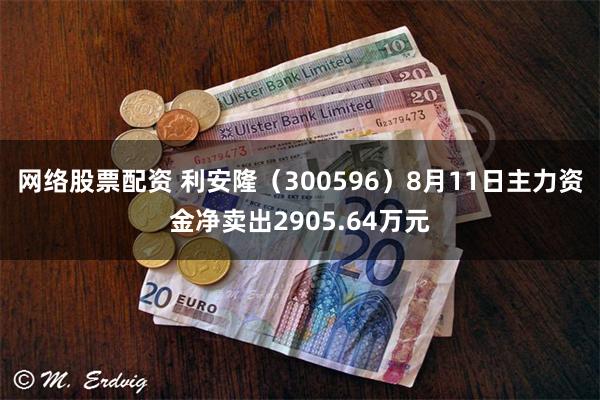 网络股票配资 利安隆（300596）8月11日主力资金净卖出2905.64万元