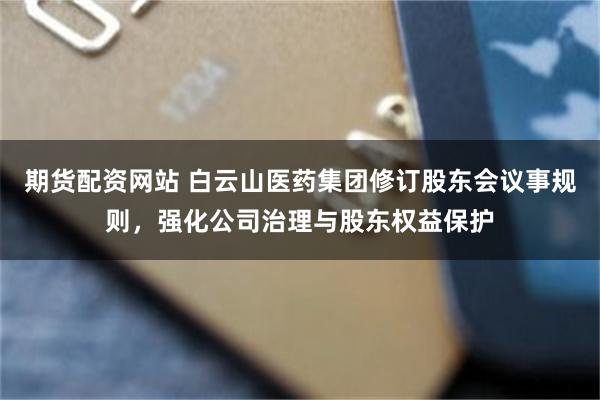 期货配资网站 白云山医药集团修订股东会议事规则，强化公司治理与股东权益保护