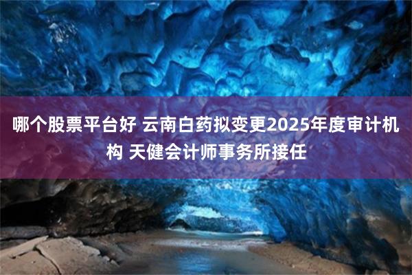 哪个股票平台好 云南白药拟变更2025年度审计机构 天健会计师事务所接任