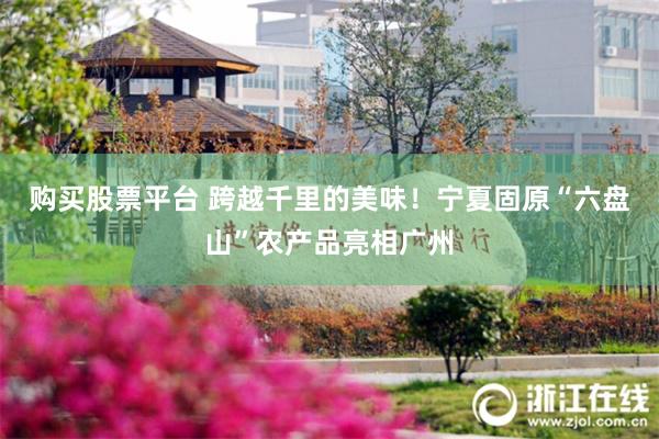 购买股票平台 跨越千里的美味！宁夏固原“六盘山”农产品亮相广州