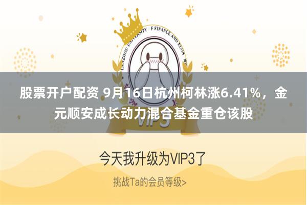 股票开户配资 9月16日杭州柯林涨6.41%，金元顺安成长动力混合基金重仓该股