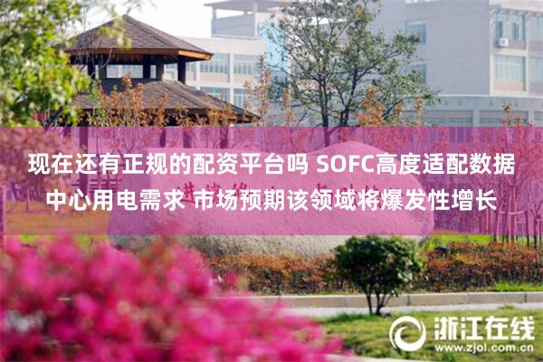 现在还有正规的配资平台吗 SOFC高度适配数据中心用电需求 市场预期该领域将爆发性增长