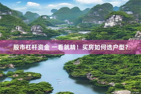 股市杠杆资金 一看就精！买房如何选户型？