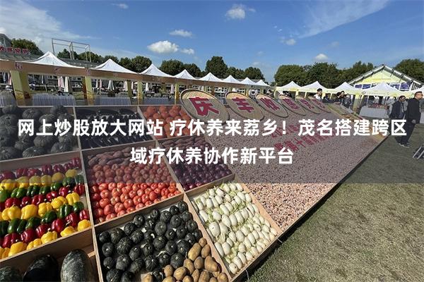 网上炒股放大网站 疗休养来荔乡！茂名搭建跨区域疗休养协作新平台