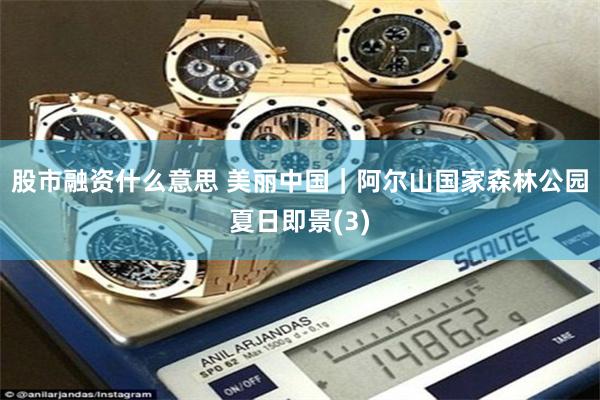 股市融资什么意思 美丽中国｜阿尔山国家森林公园夏日即景(3)