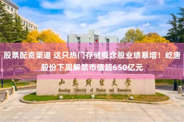 股票配资渠道 这只热门存储概念股业绩暴增！屹唐股份下周解禁市值超650亿元