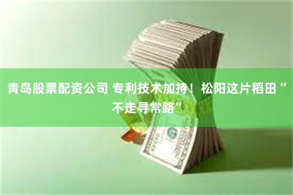 青岛股票配资公司 专利技术加持!松阳这片稻田“不走寻常路”