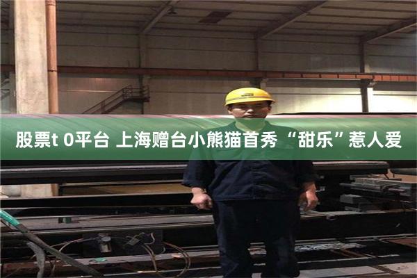 股票t 0平台 上海赠台小熊猫首秀 “甜乐”惹人爱