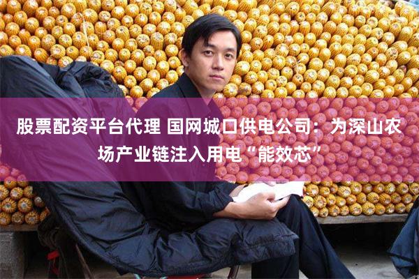 股票配资平台代理 国网城口供电公司：为深山农场产业链注入用电“能效芯”