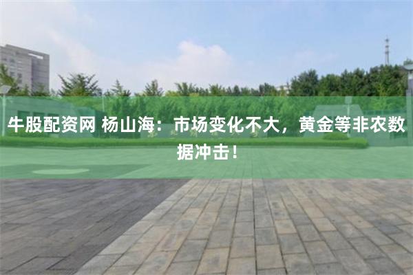 牛股配资网 杨山海：市场变化不大，黄金等非农数据冲击！