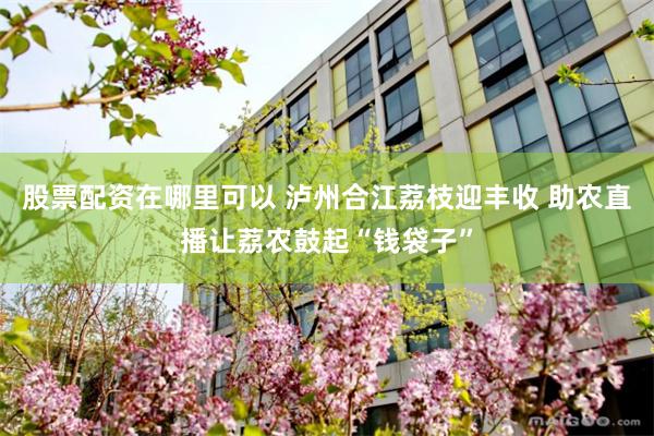 股票配资在哪里可以 泸州合江荔枝迎丰收 助农直播让荔农鼓起“钱袋子”