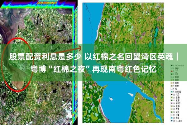 股票配资利息是多少 以红棉之名回望湾区英魂|粤博“红棉之夜”再现南粤红色记忆
