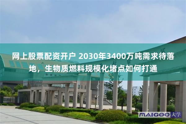 网上股票配资开户 2030年3400万吨需求待落地，生物质燃料规模化堵点如何打通