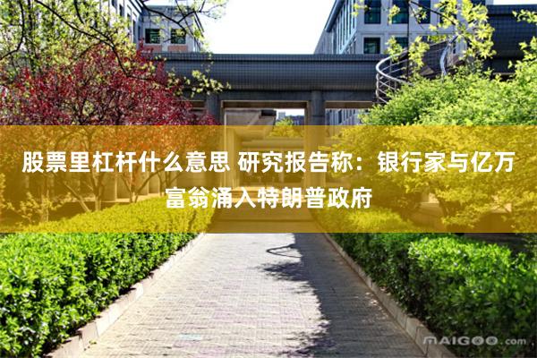股票里杠杆什么意思 研究报告称：银行家与亿万富翁涌入特朗普政府