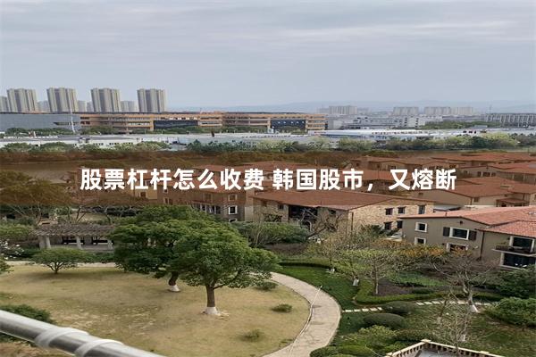 股票杠杆怎么收费 韩国股市，又熔断