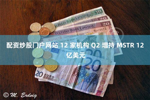 配资炒股门户网站 12 家机构 Q2 增持 MSTR 12 亿美元