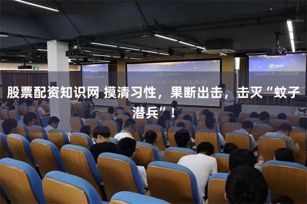 股票配资知识网 摸清习性，果断出击，击灭“蚊子潜兵”！