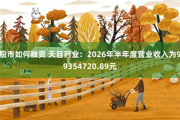 股市如何融资 天目药业：2026年半年度营业收入为99354720.89元