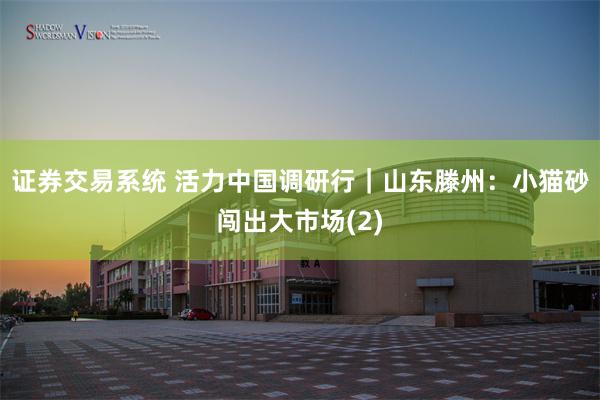 证券交易系统 活力中国调研行｜山东滕州：小猫砂闯出大市场(2)