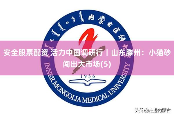 安全股票配资 活力中国调研行｜山东滕州：小猫砂闯出大市场(5)