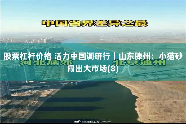 股票杠杆价格 活力中国调研行｜山东滕州：小猫砂闯出大市场(8)