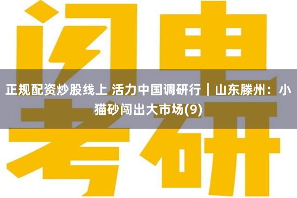 正规配资炒股线上 活力中国调研行｜山东滕州：小猫砂闯出大市场(9)