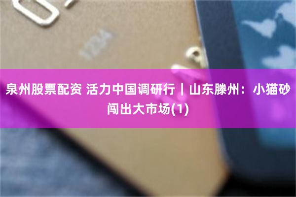 泉州股票配资 活力中国调研行｜山东滕州：小猫砂闯出大市场(1)