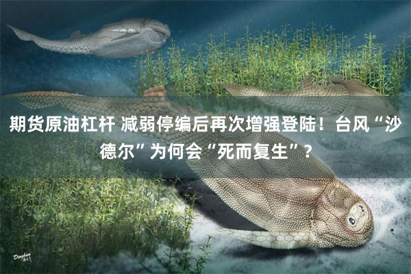 期货原油杠杆 减弱停编后再次增强登陆！台风“沙德尔”为何会“死而复生”？