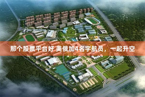 那个股票平台好 美俄加4名宇航员，一起升空