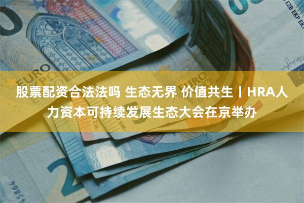 股票配资合法法吗 生态无界 价值共生丨HRA人力资本可持续发展生态大会在京举办