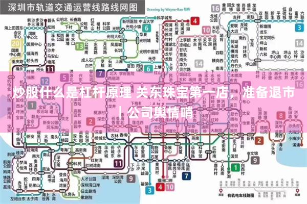 炒股什么是杠杆原理 关东珠宝第一店，准备退市｜公司舆情哨