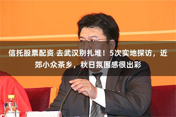 信托股票配资 去武汉别扎堆！5次实地探访，近郊小众茶乡，秋日氛围感很出彩