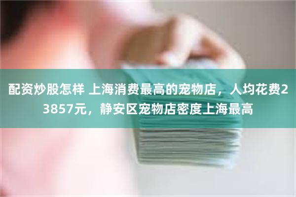 配资炒股怎样 上海消费最高的宠物店，人均花费23857元，静安区宠物店密度上海最高